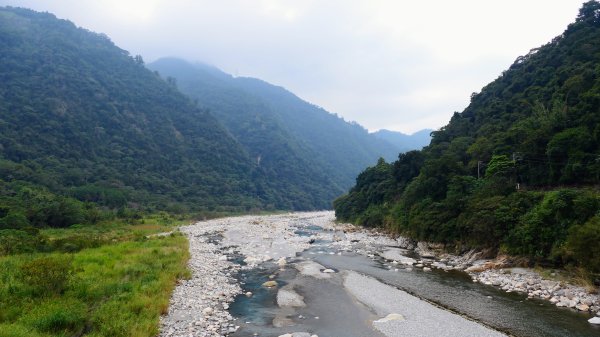 谷關溫泉,八仙山,勝興車站,三灣落羽松2654804