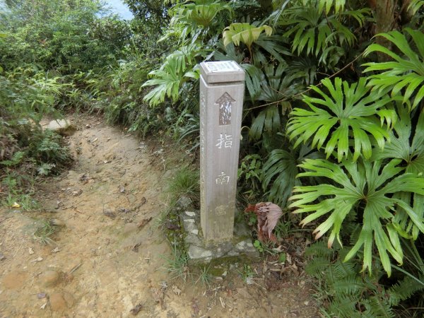 猴山岳（草湳到萬壽路）977469