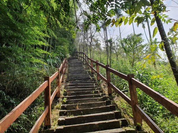 出水坑步道1105836