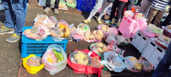 桃園觀新藻礁生態(葉五美宗族清明掃墓)3030502