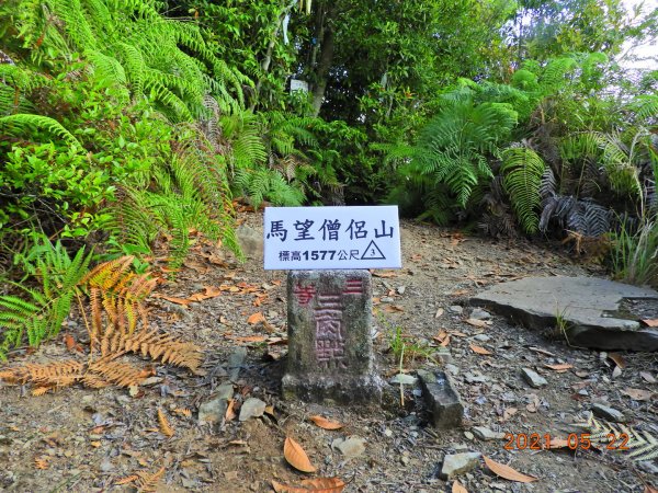 桃園 復興 馬望僧侶山封面