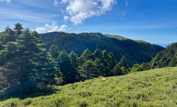 磐石山的水鹿1777298