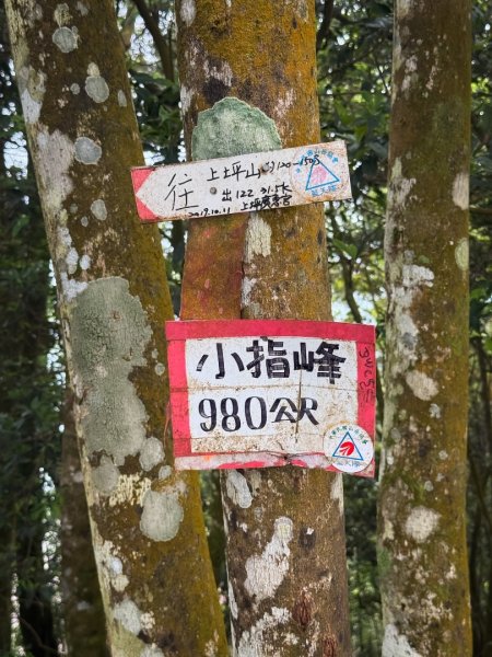 新竹五指山 - 指峰凌霄2768560