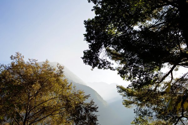 谷關七雄：八仙山468262