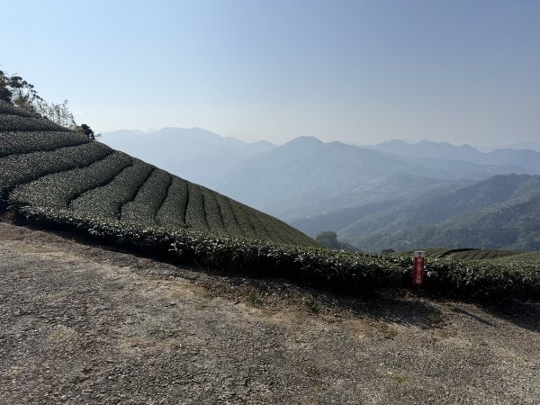 69雲嘉8連峰3084272