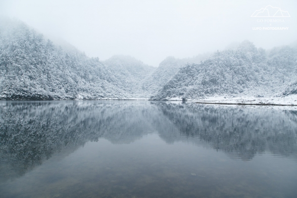 【攝野紀】夢幻般的雪中松蘿湖264550