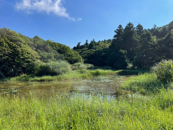 竹篙山山腰古道封面