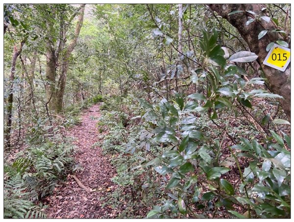 赫威山、多崖山、北插天山 連走2957286