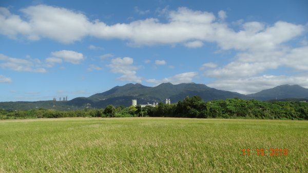 大屯&小觀音主/西&關渡花田補考735918