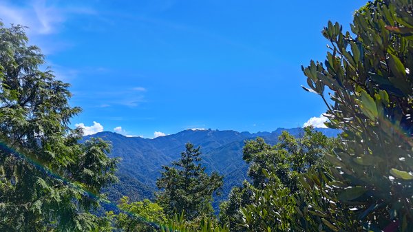 榛山景觀平台2918102