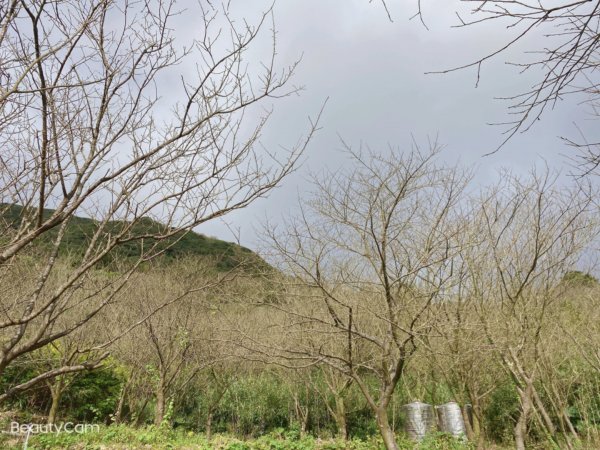 110/12/19二子坪-小油坑1558544
