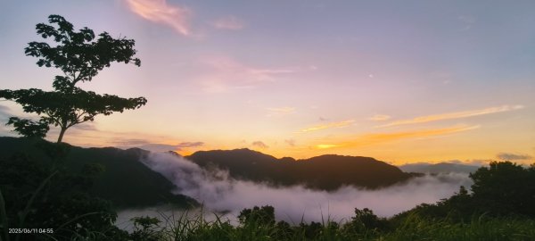 跟著雲海達人山友追雲趣 #草莓月亮 #月圓雲海 #霞光 #日出雲海 #茶園 6/112808776