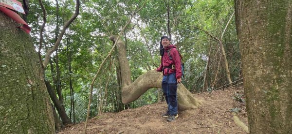 20260107竹東三山跟寶山十連峰2980146