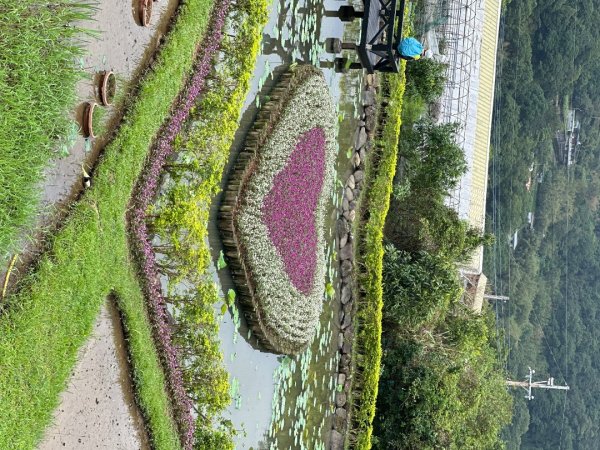 台北大縱走43140251