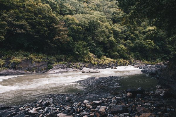 野溪-泰崗溫泉433633