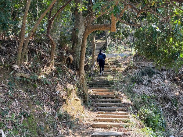 南觀音山步道2731299