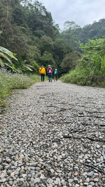 宜蘭九寮溪生態遊憩區-自然步道2451577