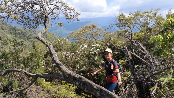 橫屏山~獅凸魯山~舊武界越山~ 埋石山2022年4月5日1663973