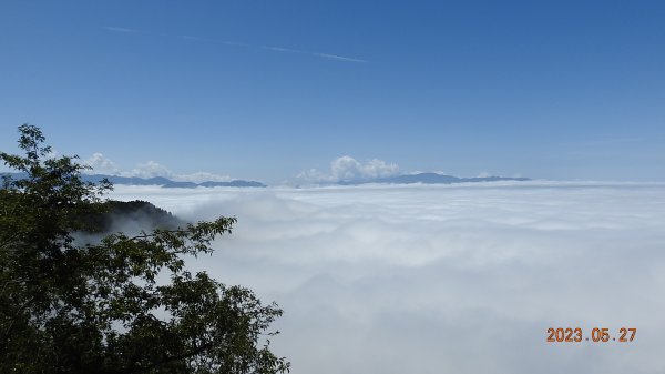 太平山之望洋山&觀雲步道之雲海+觀音圈5/282163478