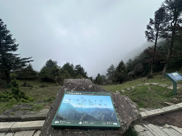 鹿林前山、鹿林山、麟趾山O繞縱走2799645