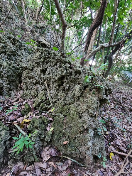 114/1/4國境之南：恆春大縱走2687250