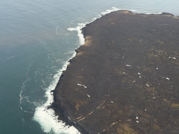 [紐約馬之行-50] 2025_1109~11 回到冰島/美國2952659