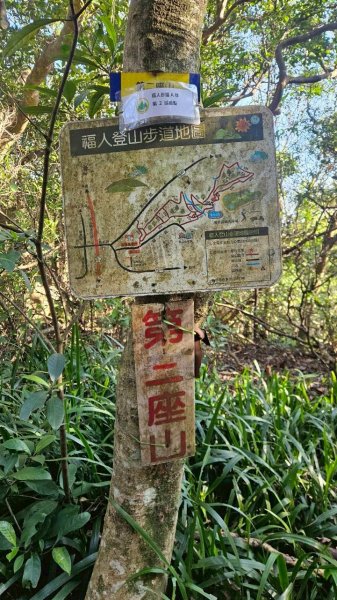 20260110楊梅福人步道-老坑山-保甲古道-東森山林步道-小楊梅步道-秀才步道茶園段2982024