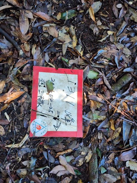 20250112貴妃山那結山外鳥嘴山蓮包山O型2727151