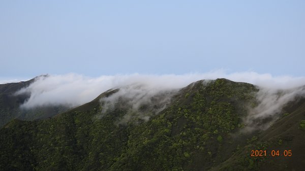 0405陽明山再見雲瀑，今年以來最滿意的一次1335441