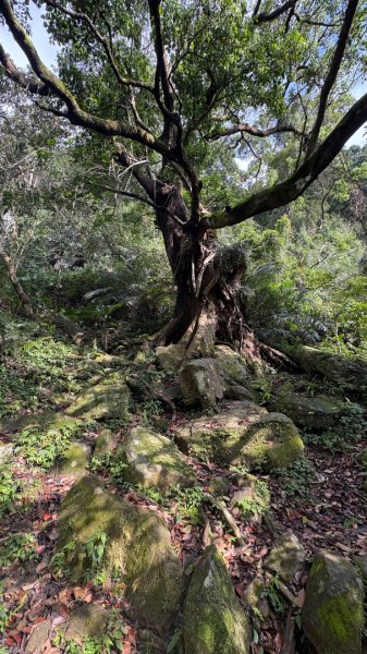 與岩稜的再次對話3011046