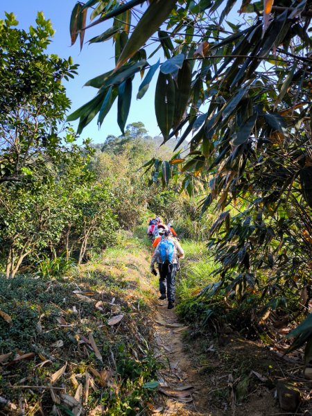 2026-02-22 內湖雙心縱走3006794