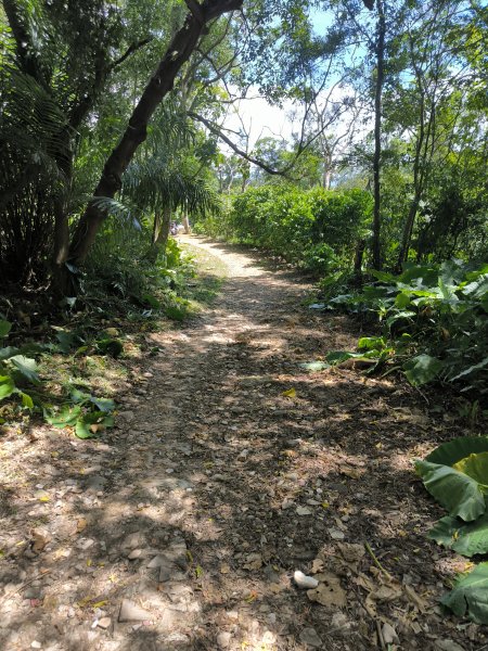 20240923微笑山線：【天上山系】烘爐地土地公段2892440