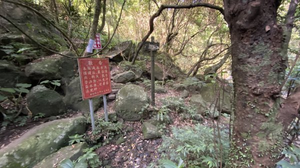 走青山瀑布探老梅冷泉|Qingshan Waterfall|秘境不秘|老梅瀑布|峯花雪月2561830