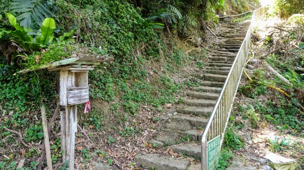 帕米爾公園,台北小溪頭1772362