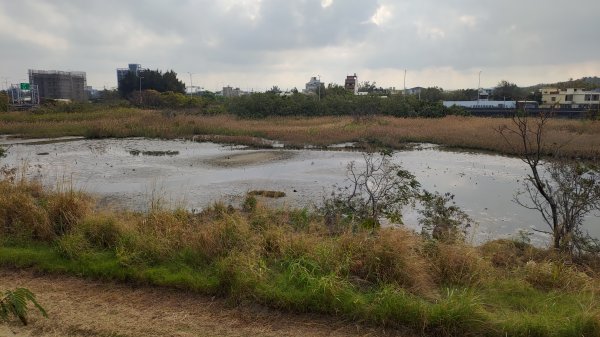 新竹車站巡禮~崎頂到香山2986453