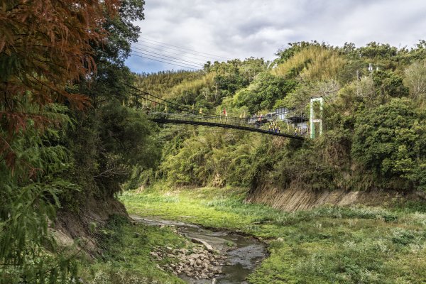 2020-12-17水寨下古道(樟之細路RAS39)1407614