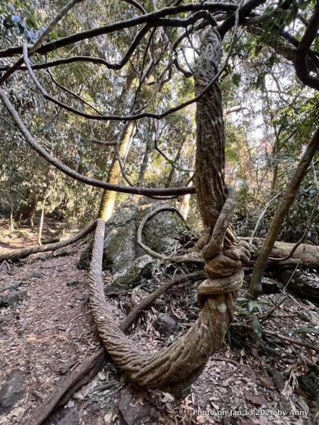 雪山坑步道（巨人之手）2986477