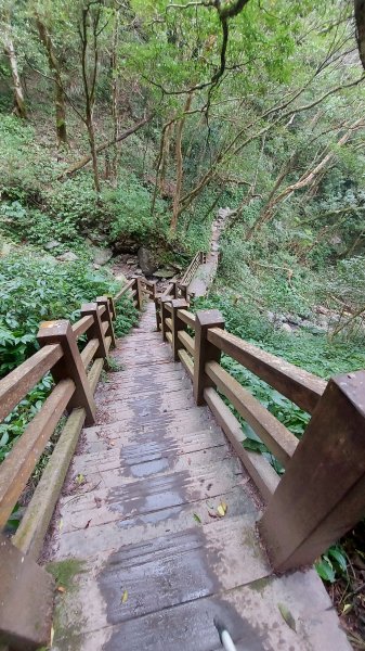 111/03/12東滿步道(東眼山進、滿月圓出)1643968