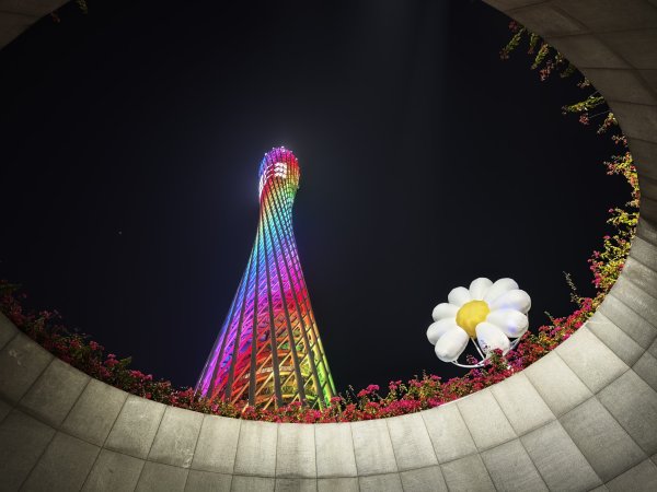 [茂名馬之行-05] 2026_0116 廣州塔夜景2994105