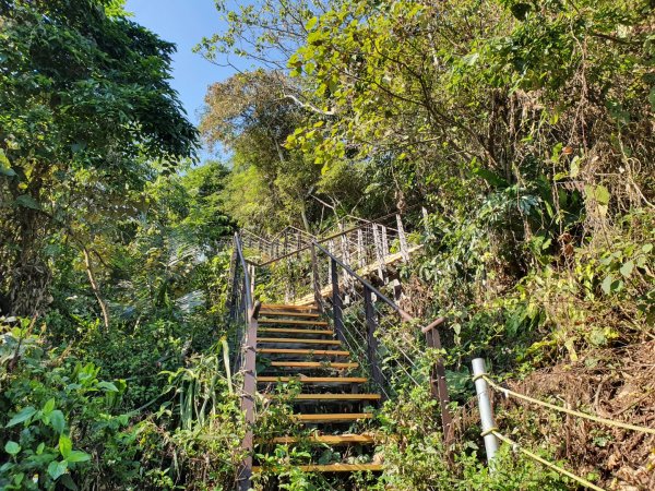 樟湖山6.8號步道1233518