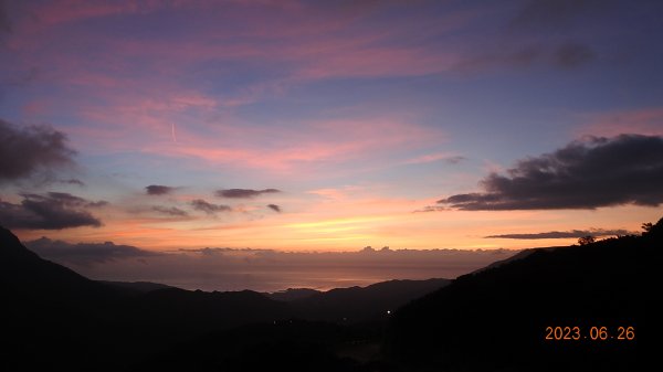 雲山水花鳥蝶 - 天龍國阿伯的日常 6/262195472