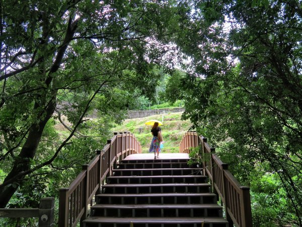 苗栗大湖 伯公潭古圳道1754306