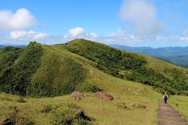 草嶺古道-桃源谷遍野芒花翻飛，飽覽絕美山海奇景！2335547