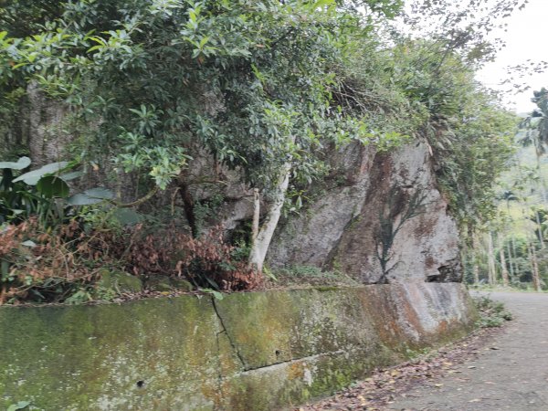 華山山豬湖步道935728