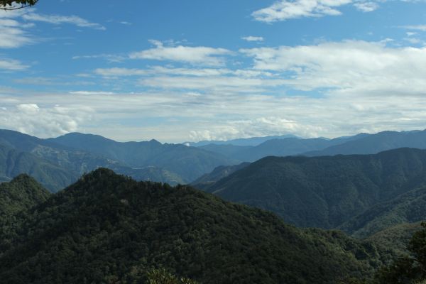 105.11.19 新竹內鳥嘴山之山毛櫸190957