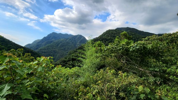 塔曼山，拔刀爾山，美鹿山南峰，內洞林道，大刀山，啦卡登山步道，桃園枕頭山，阿姆坪生態公園，大溪坪古道1795596