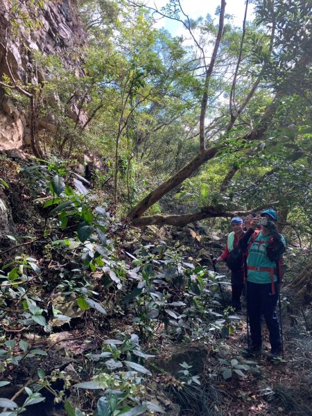 20250215屏東北湖呂山2715906