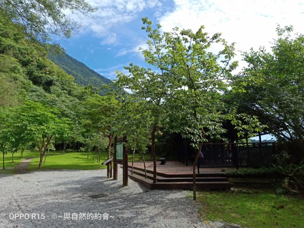 步道巡訪員 l 佐倉步道7月巡訪日誌1017943