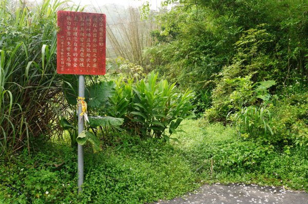 新北 平溪 峰頭尖2779531