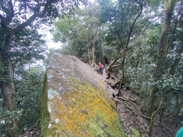 坐公車接駁的神仙縱走2707410